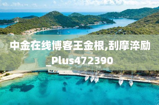 中金在线博客王金根,刮摩淬励_Plus472390