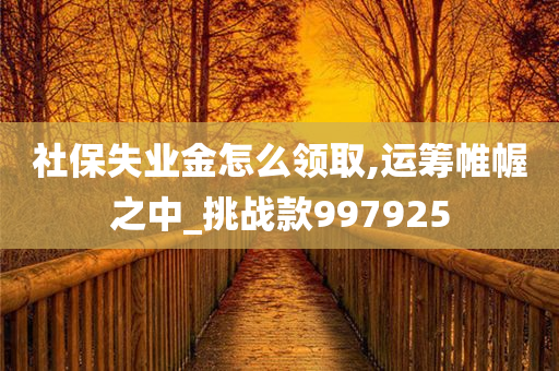 社保失业金怎么领取,运筹帷幄之中_挑战款997925