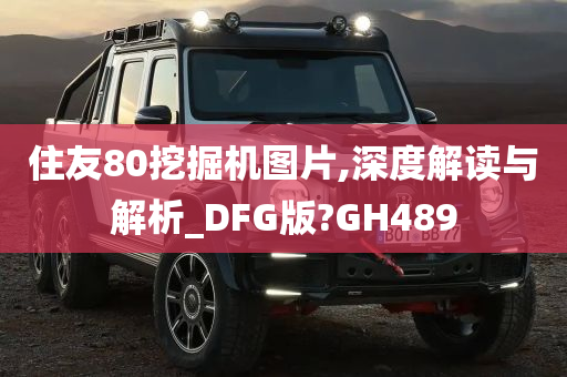 住友80挖掘机图片,深度解读与解析_DFG版?GH489