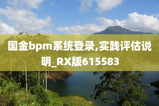 国金bpm系统登录,实践评估说明_RX版615583