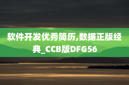 软件开发优秀简历,数据正版经典_CCB版DFG56