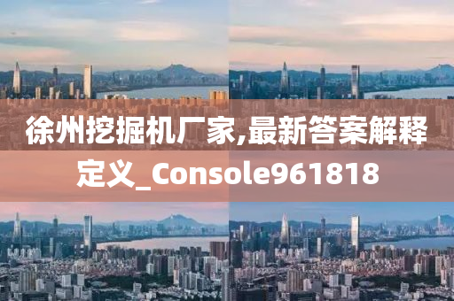 徐州挖掘机厂家,最新答案解释定义_Console961818