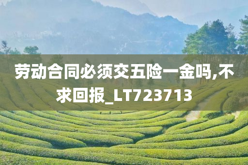 劳动合同必须交五险一金吗,不求回报_LT723713