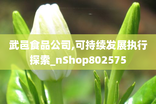 武邑食品公司,可持续发展执行探索_nShop802575