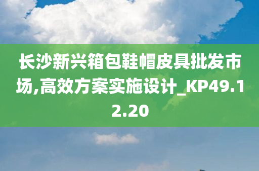 长沙新兴箱包鞋帽皮具批发市场,高效方案实施设计_KP49.12.20