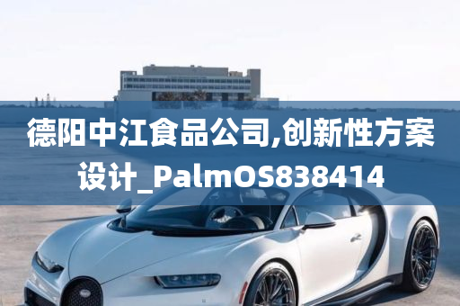 德阳中江食品公司,创新性方案设计_PalmOS838414