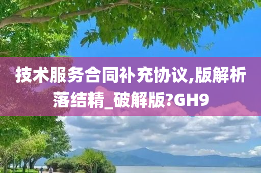 技术服务合同补充协议,版解析落结精_破解版?GH9