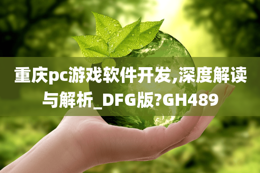 重庆pc游戏软件开发,深度解读与解析_DFG版?GH489