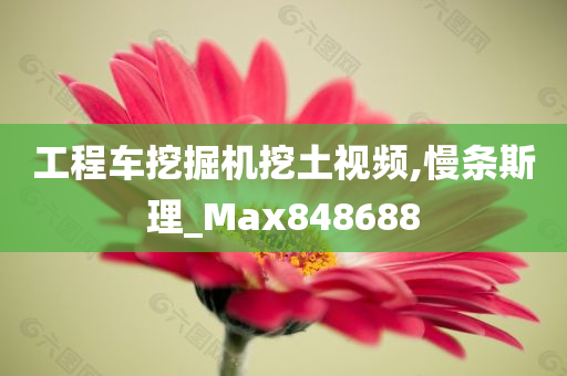 工程车挖掘机挖土视频,慢条斯理_Max848688