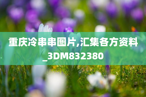 重庆冷串串图片,汇集各方资料_3DM832380