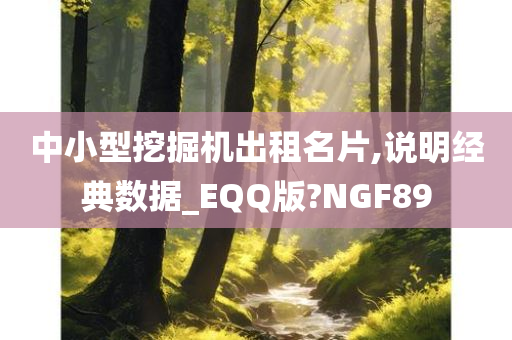 中小型挖掘机出租名片,说明经典数据_EQQ版?NGF89