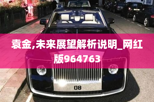 袁金,未来展望解析说明_网红版964763