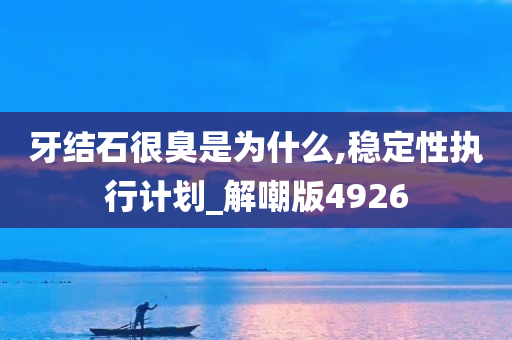 牙结石很臭是为什么,稳定性执行计划_解嘲版4926