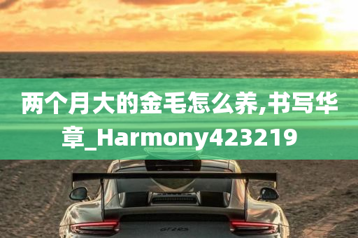 两个月大的金毛怎么养,书写华章_Harmony423219