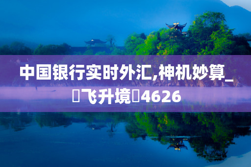 中国银行实时外汇,神机妙算_‌飞升境‌4626