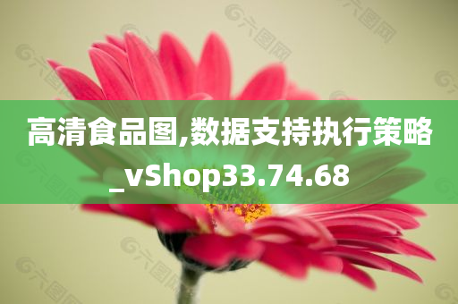 高清食品图,数据支持执行策略_vShop33.74.68