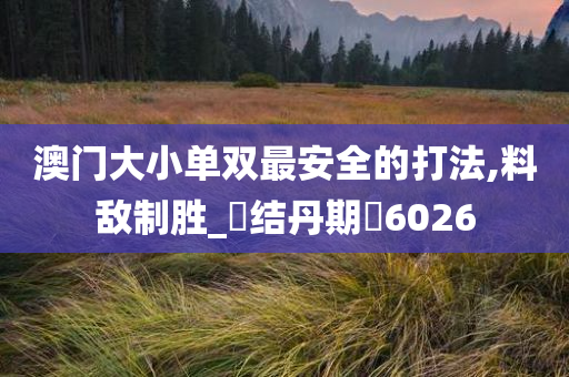 澳门大小单双最安全的打法,料敌制胜_‌结丹期‌6026