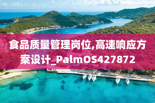 食品质量管理岗位,高速响应方案设计_PalmOS427872