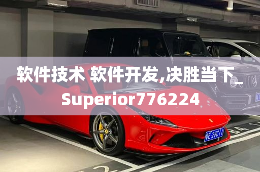 软件技术 软件开发,决胜当下_Superior776224