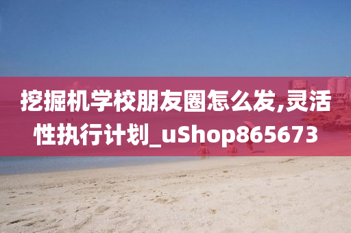 挖掘机学校朋友圈怎么发,灵活性执行计划_uShop865673