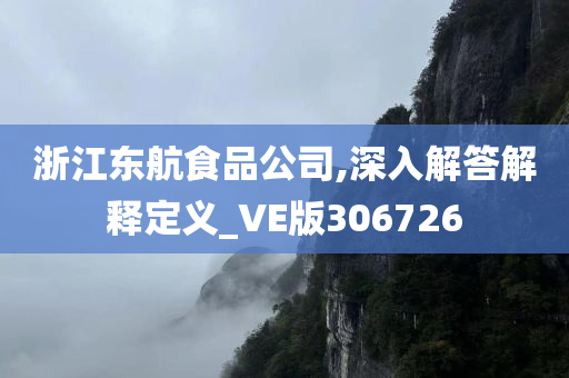 浙江东航食品公司,深入解答解释定义_VE版306726