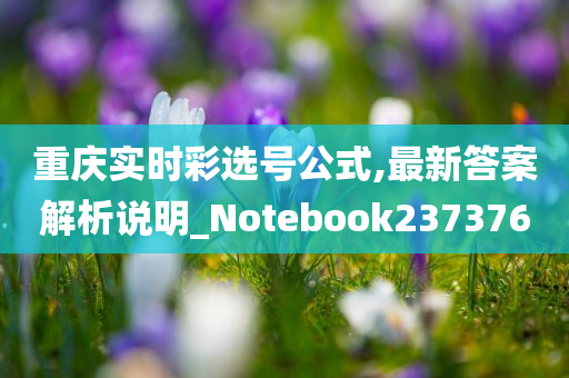 重庆实时彩选号公式,最新答案解析说明_Notebook237376