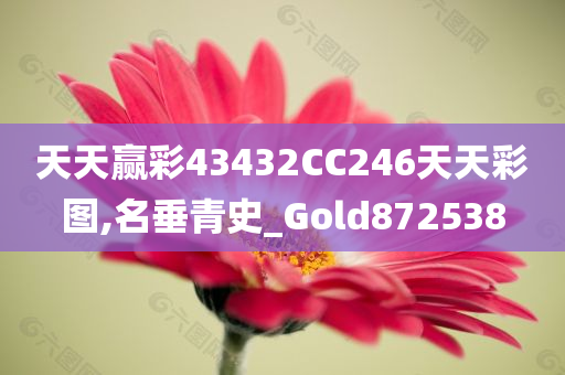 天天赢彩43432CC246天天彩图,名垂青史_Gold872538