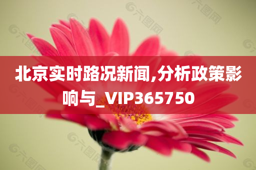 北京实时路况新闻,分析政策影响与_VIP365750