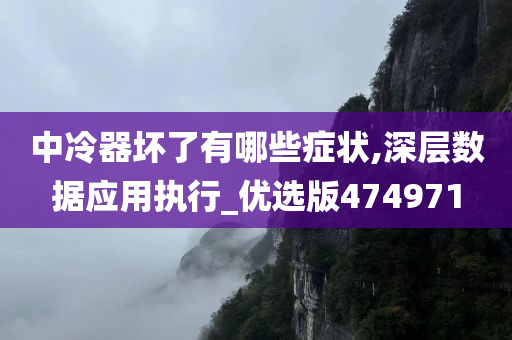 中冷器坏了有哪些症状,深层数据应用执行_优选版474971