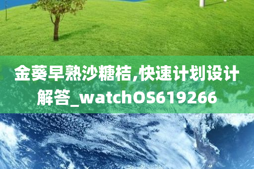 金葵早熟沙糖桔,快速计划设计解答_watchOS619266