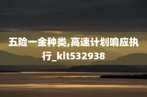 五险一金种类,高速计划响应执行_kit532938