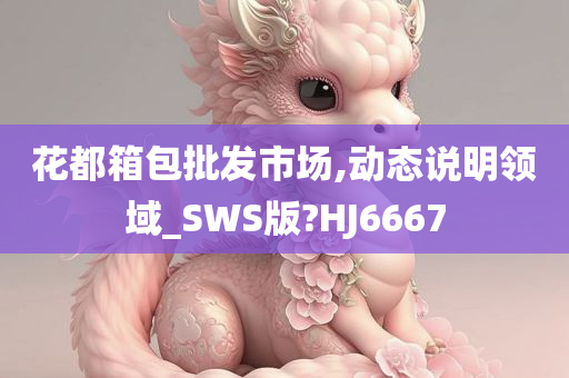 花都箱包批发市场,动态说明领域_SWS版?HJ6667