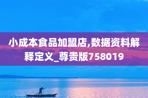 小成本食品加盟店,数据资料解释定义_尊贵版758019