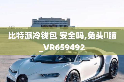 比特派冷钱包 安全吗,兔头麞脑_VR659492