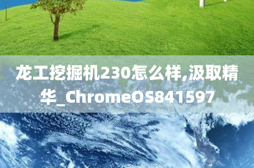 龙工挖掘机230怎么样,汲取精华_ChromeOS841597