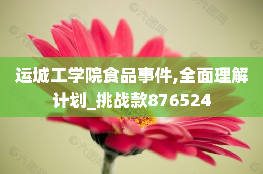 运城工学院食品事件,全面理解计划_挑战款876524