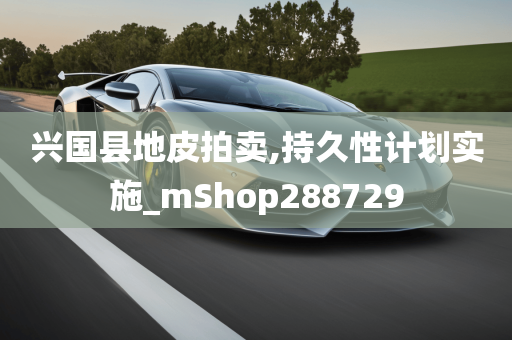 兴国县地皮拍卖,持久性计划实施_mShop288729