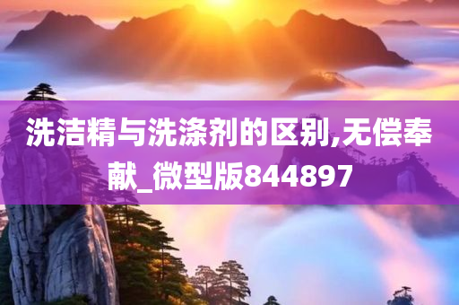 洗洁精与洗涤剂的区别,无偿奉献_微型版844897