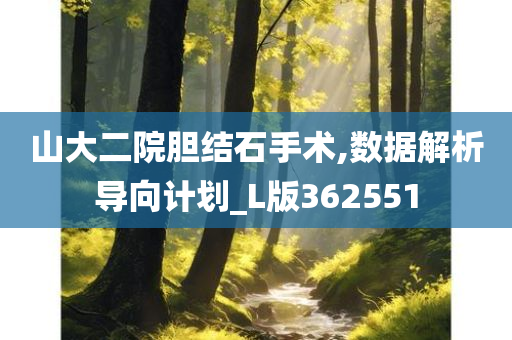 山大二院胆结石手术,数据解析导向计划_L版362551