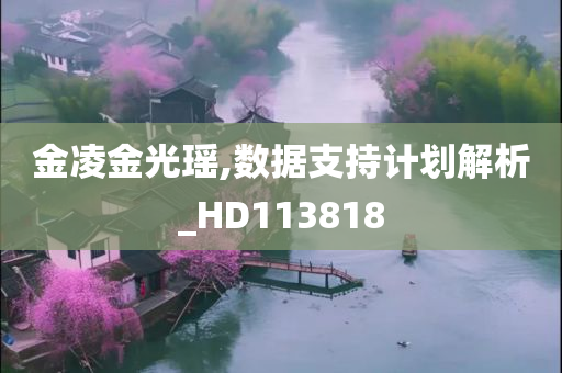 金凌金光瑶,数据支持计划解析_HD113818