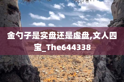 金勺子是实盘还是虚盘,文人四宝_The644338