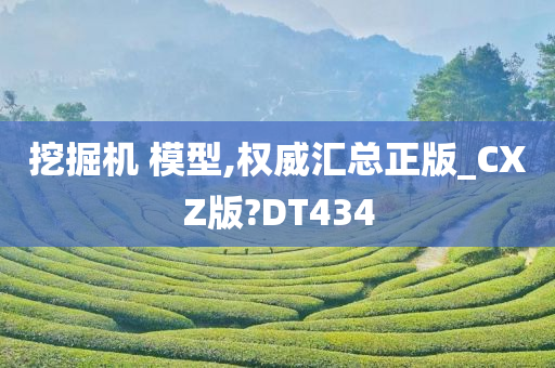 挖掘机 第21页