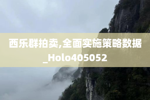 西乐群拍卖,全面实施策略数据_Holo405052