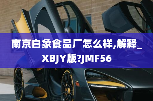 南京白象食品厂怎么样,解释_XBJY版?JMF56