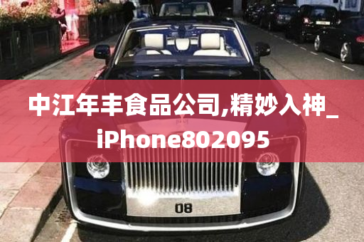 中江年丰食品公司,精妙入神_iPhone802095