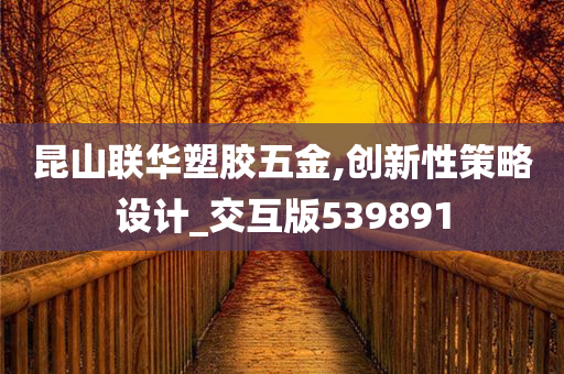 昆山联华塑胶五金,创新性策略设计_交互版539891