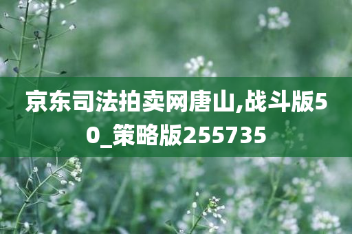 京东司法拍卖网唐山,战斗版50_策略版255735