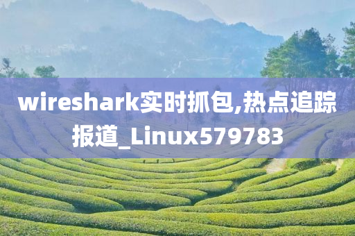 wireshark实时抓包,热点追踪报道_Linux579783