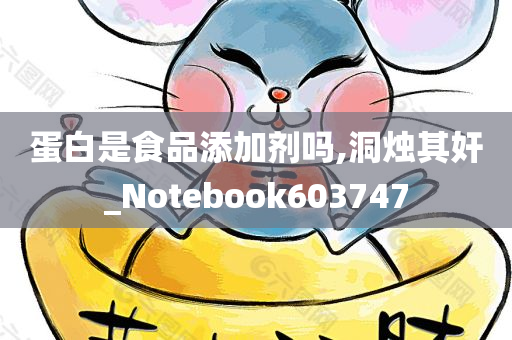 蛋白是食品添加剂吗,洞烛其奸_Notebook603747