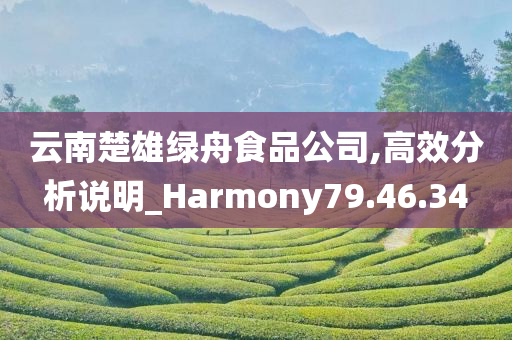 云南楚雄绿舟食品公司,高效分析说明_Harmony79.46.34